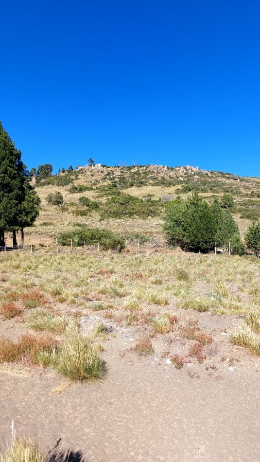 Gran lote en venta en el loteo Lago Huechulafquen - Junin de los Andes Neuquen