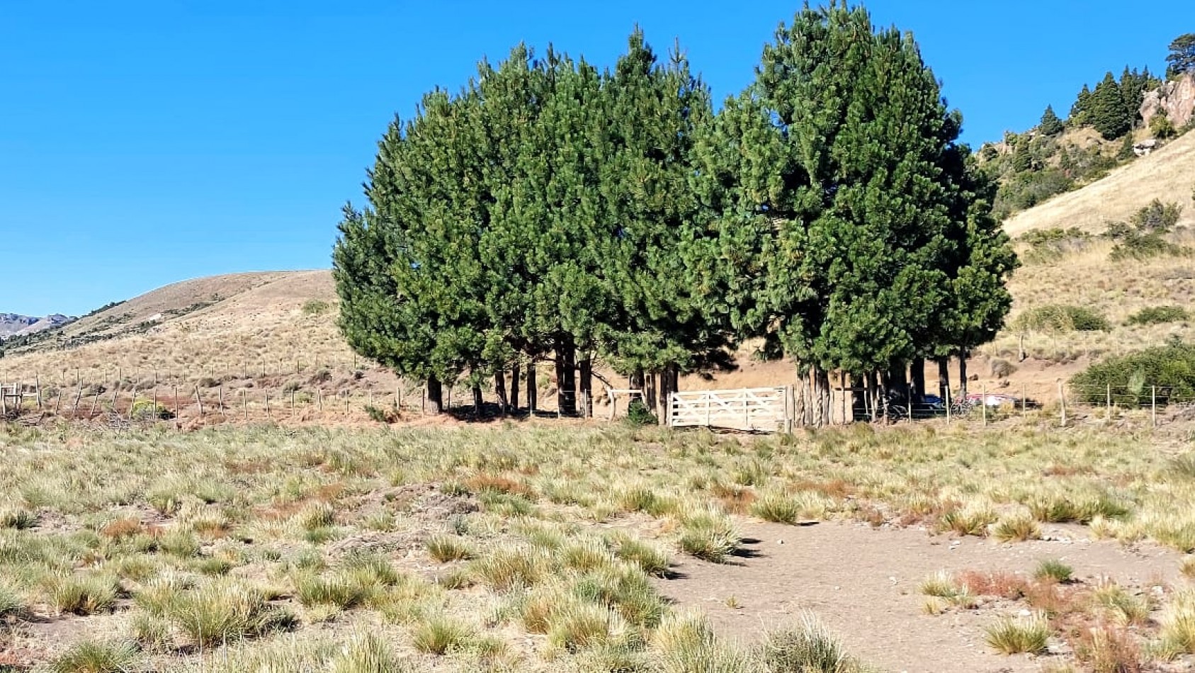 Gran lote en venta en el loteo Lago Huechulafquen - Junin de los Andes Neuquen