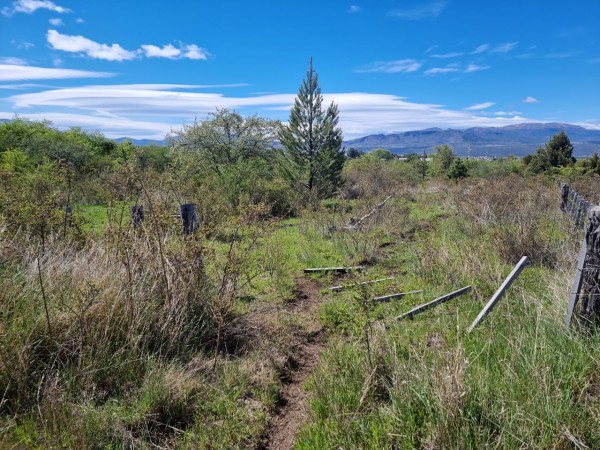 TERRENO EN LA LOCALIDAD DE TREVELIN -CHUBUT-