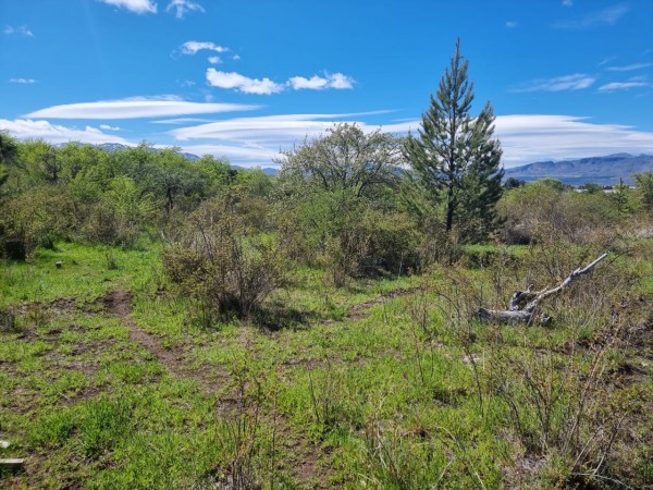 TERRENO EN LA LOCALIDAD DE TREVELIN -CHUBUT-