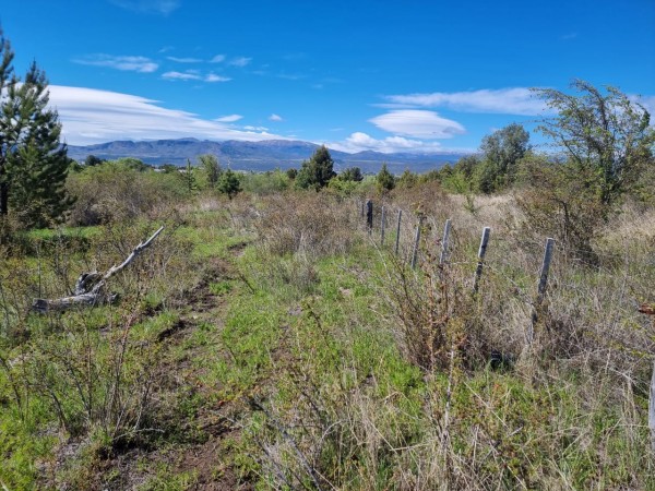 TERRENO EN LA LOCALIDAD DE TREVELIN -CHUBUT-