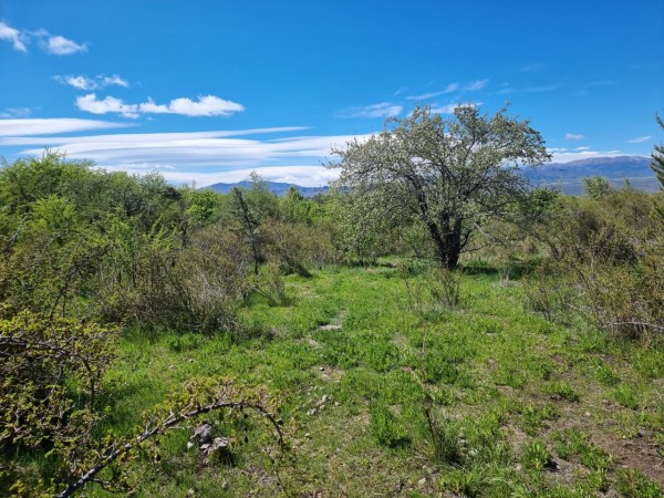 TERRENO EN LA LOCALIDAD DE TREVELIN -CHUBUT-