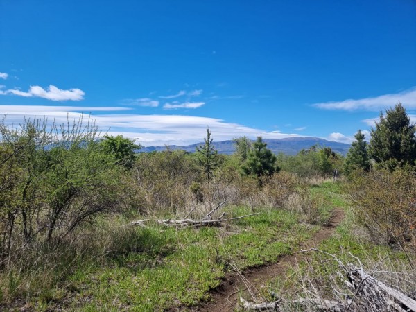 TERRENO EN LA LOCALIDAD DE TREVELIN -CHUBUT-