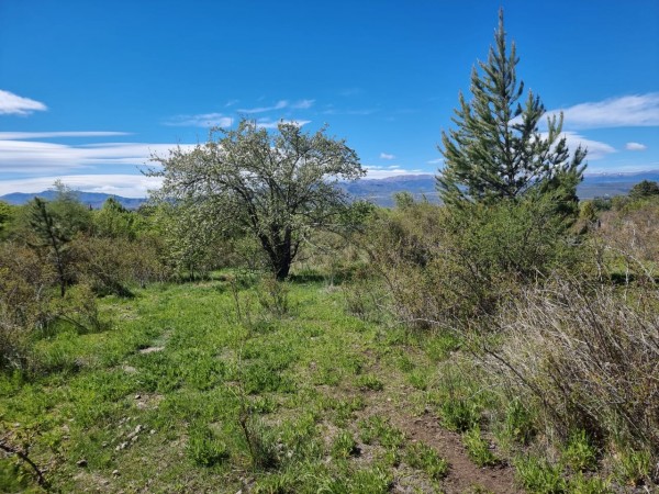 TERRENO EN LA LOCALIDAD DE TREVELIN -CHUBUT-