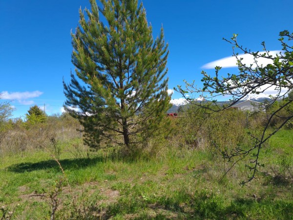 TERRENO EN LA LOCALIDAD DE TREVELIN -CHUBUT-