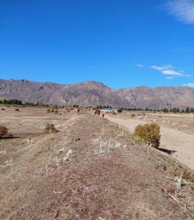 CAMPO DE 3,85 HECTÁREAS EN EL MAITÉN -CHUBUT-