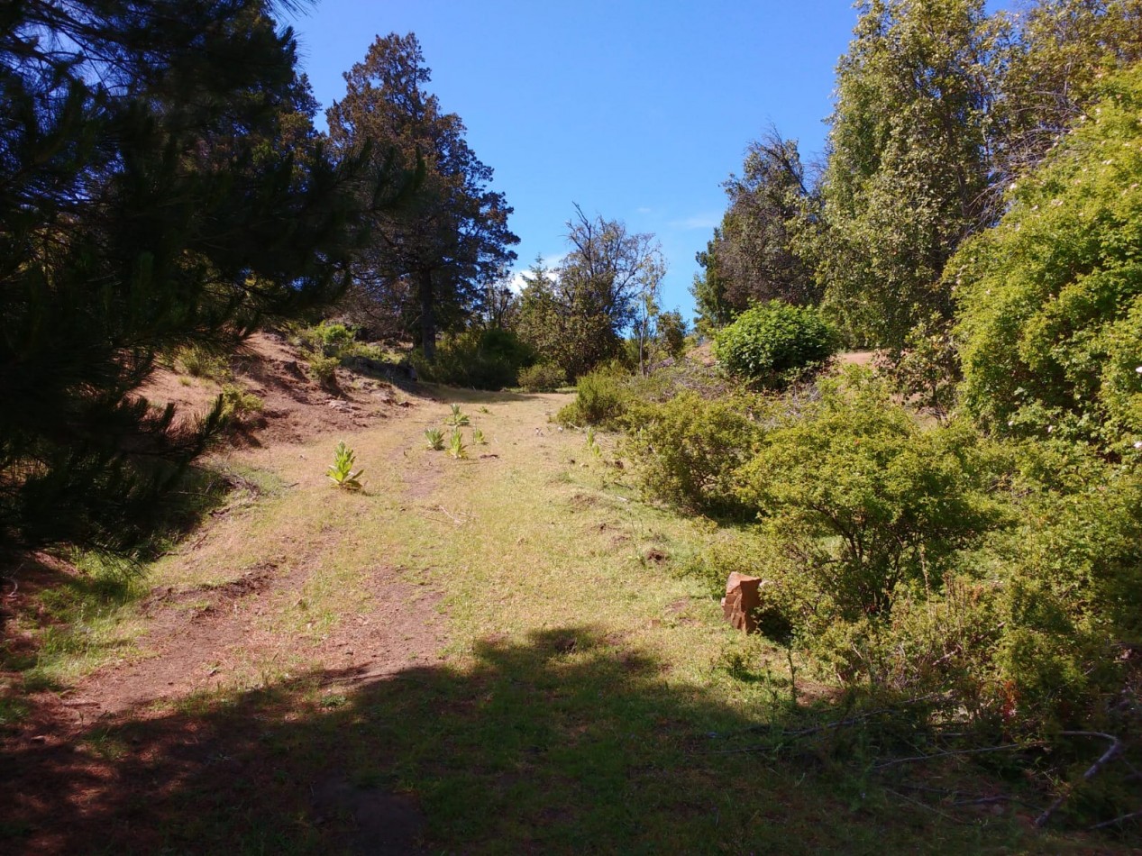 FRACCIÓN DE 7,36 HECTÁREAS EN EL HOYO PROV DEL CHUBUT 