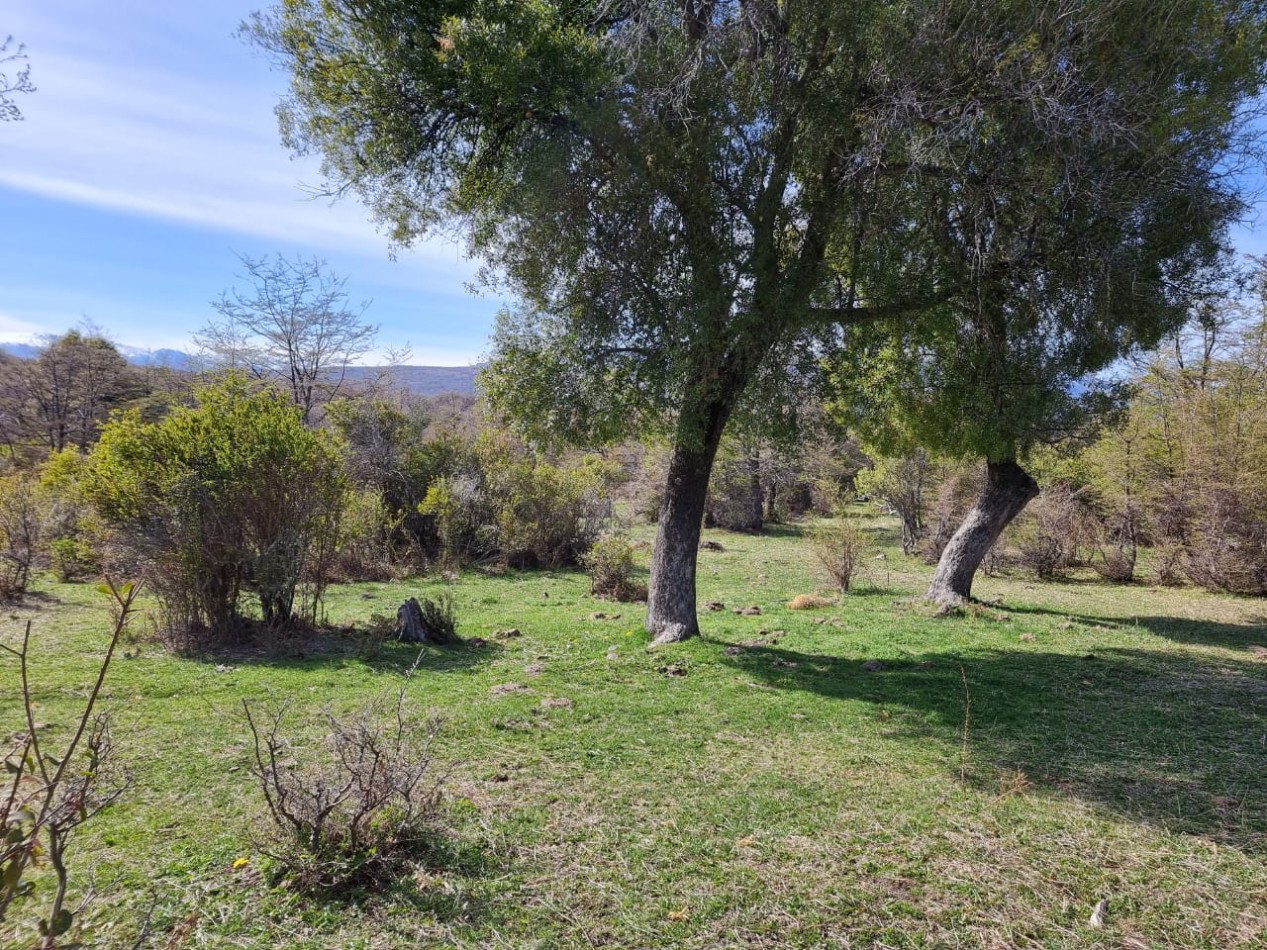 HERMOSO TERRENO DE 3,24 Has EN CORCOVADO CHUBUT