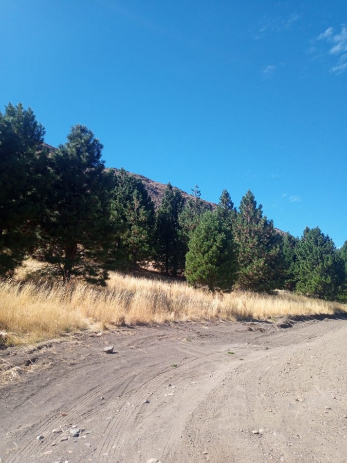 LOTES EN LOTEO EL PARAISO ESQUEL CHUBUT