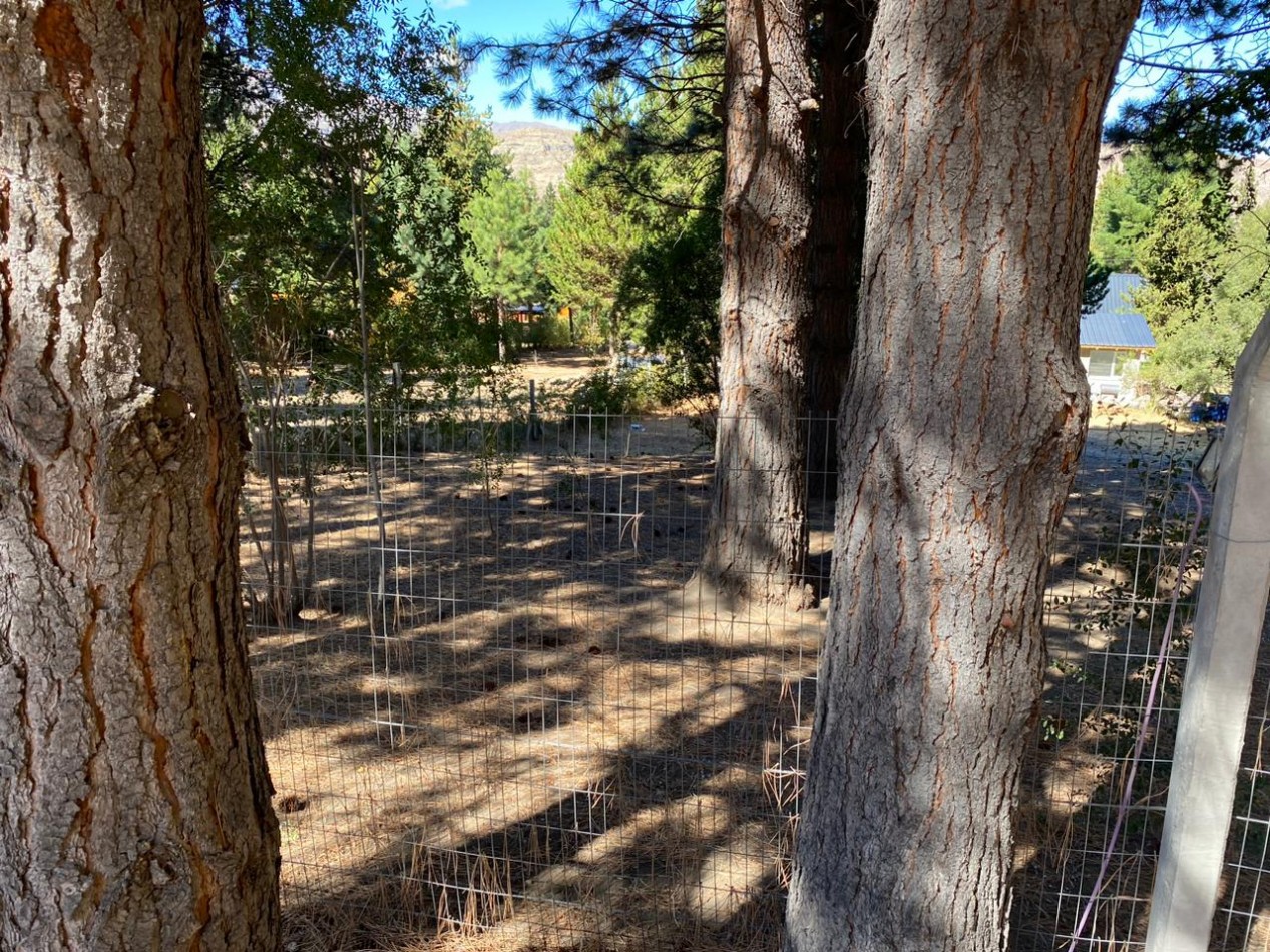 TERRENO EN BARRIO VILLA AYELEN ESQUEL