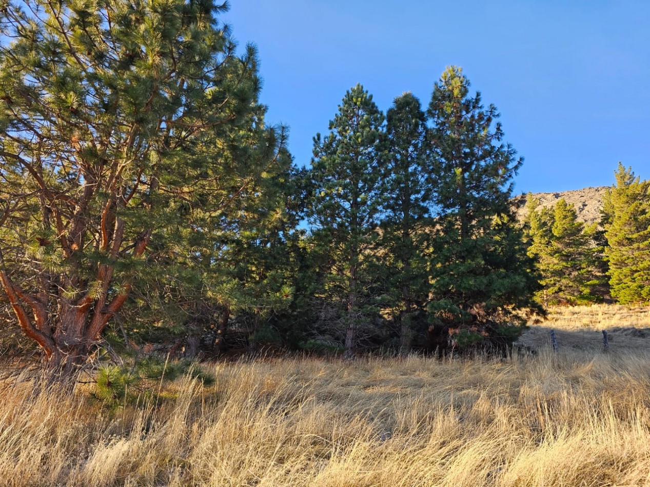 TERRENO EN LA LOCALIDAD DE ESQUEL CHUBUT