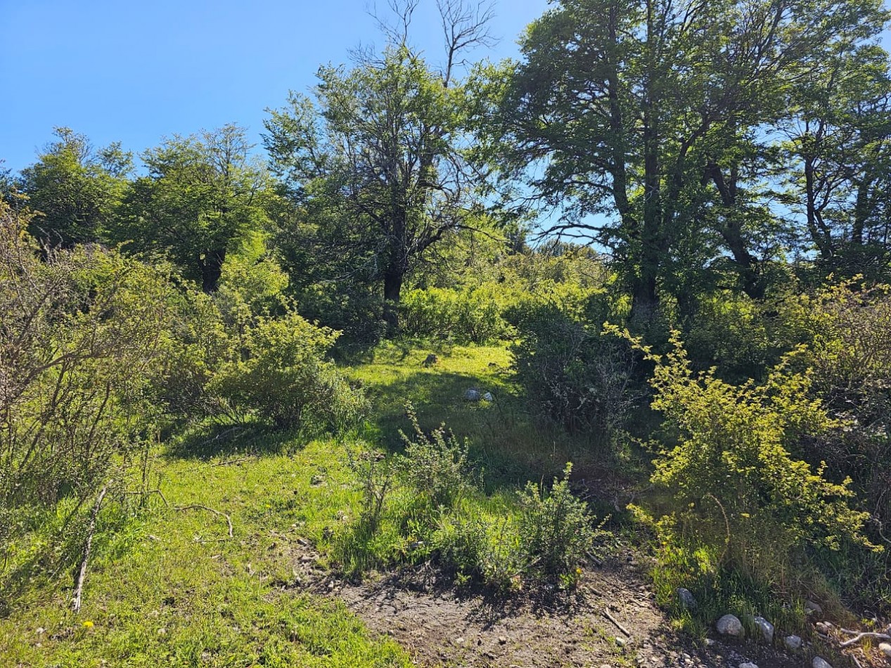 HERMOSO TERRENO EN SECCION LAGO LEZANA CHOLILA CHUBUT