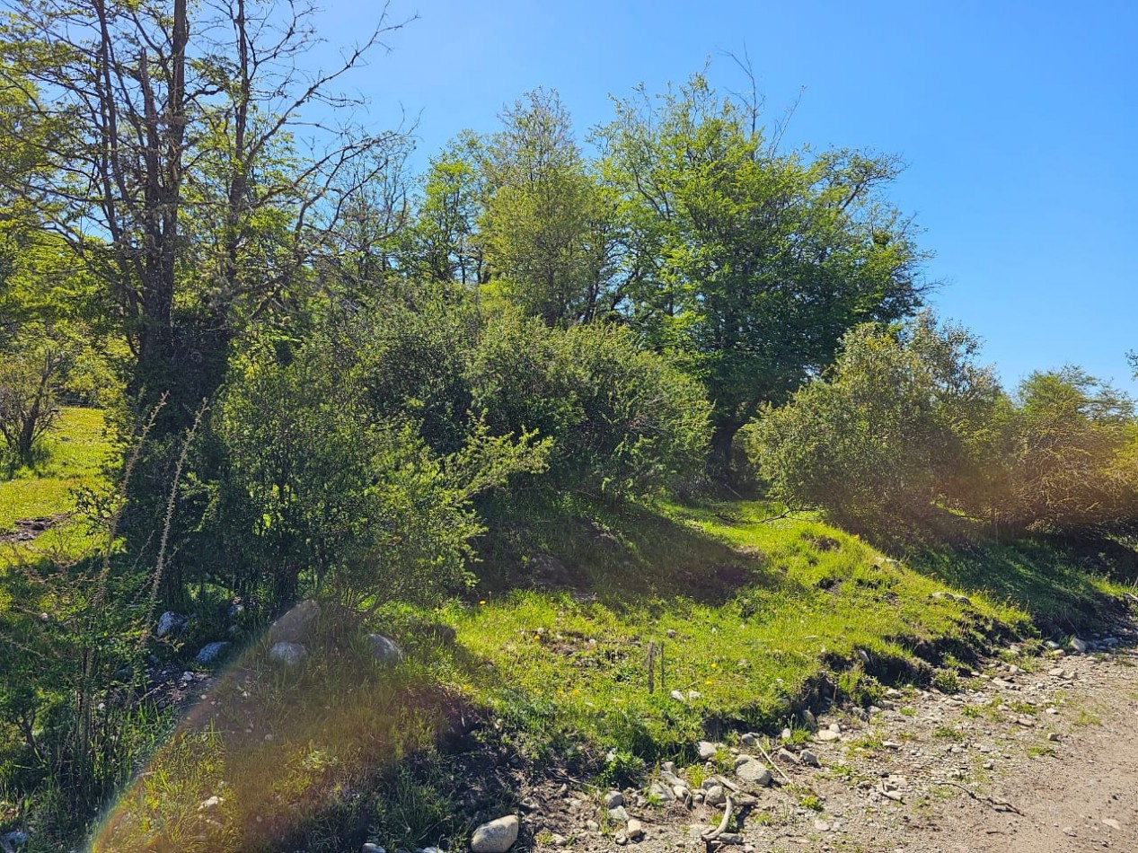 HERMOSO TERRENO EN SECCION LAGO LEZANA CHOLILA CHUBUT