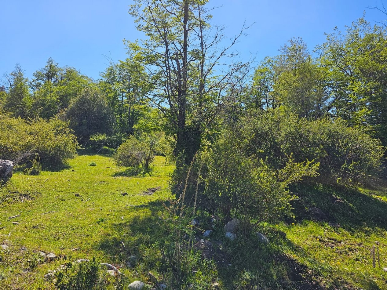 HERMOSO TERRENO EN SECCION LAGO LEZANA CHOLILA CHUBUT