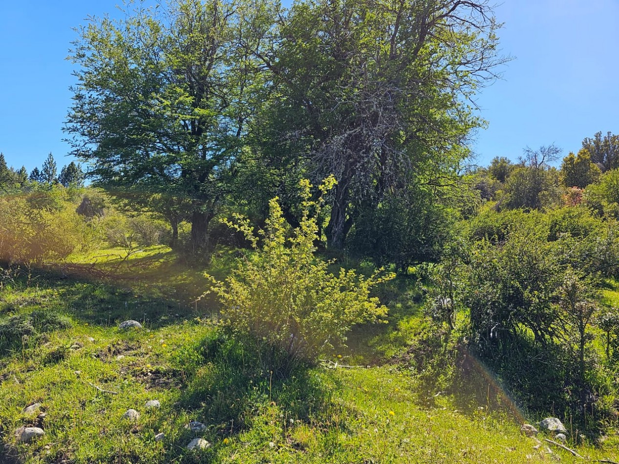 HERMOSO TERRENO EN SECCION LAGO LEZANA CHOLILA CHUBUT