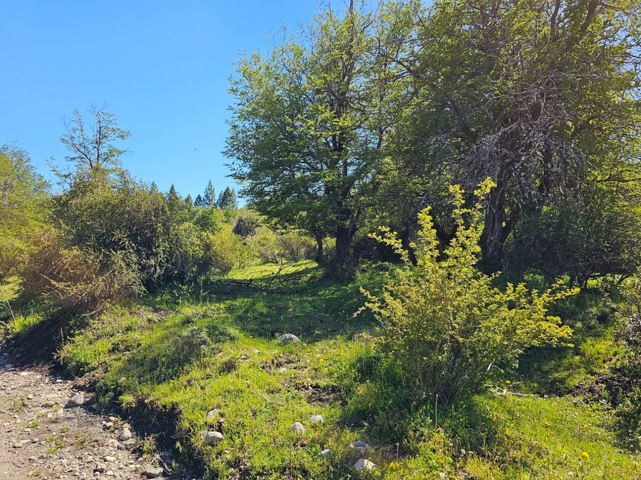 HERMOSO TERRENO EN SECCION LAGO LEZANA CHOLILA CHUBUT