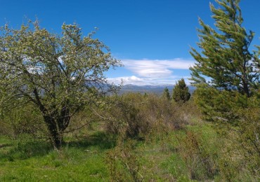 TERRENO EN LA LOCALIDAD DE TREVELIN -CHUBUT-