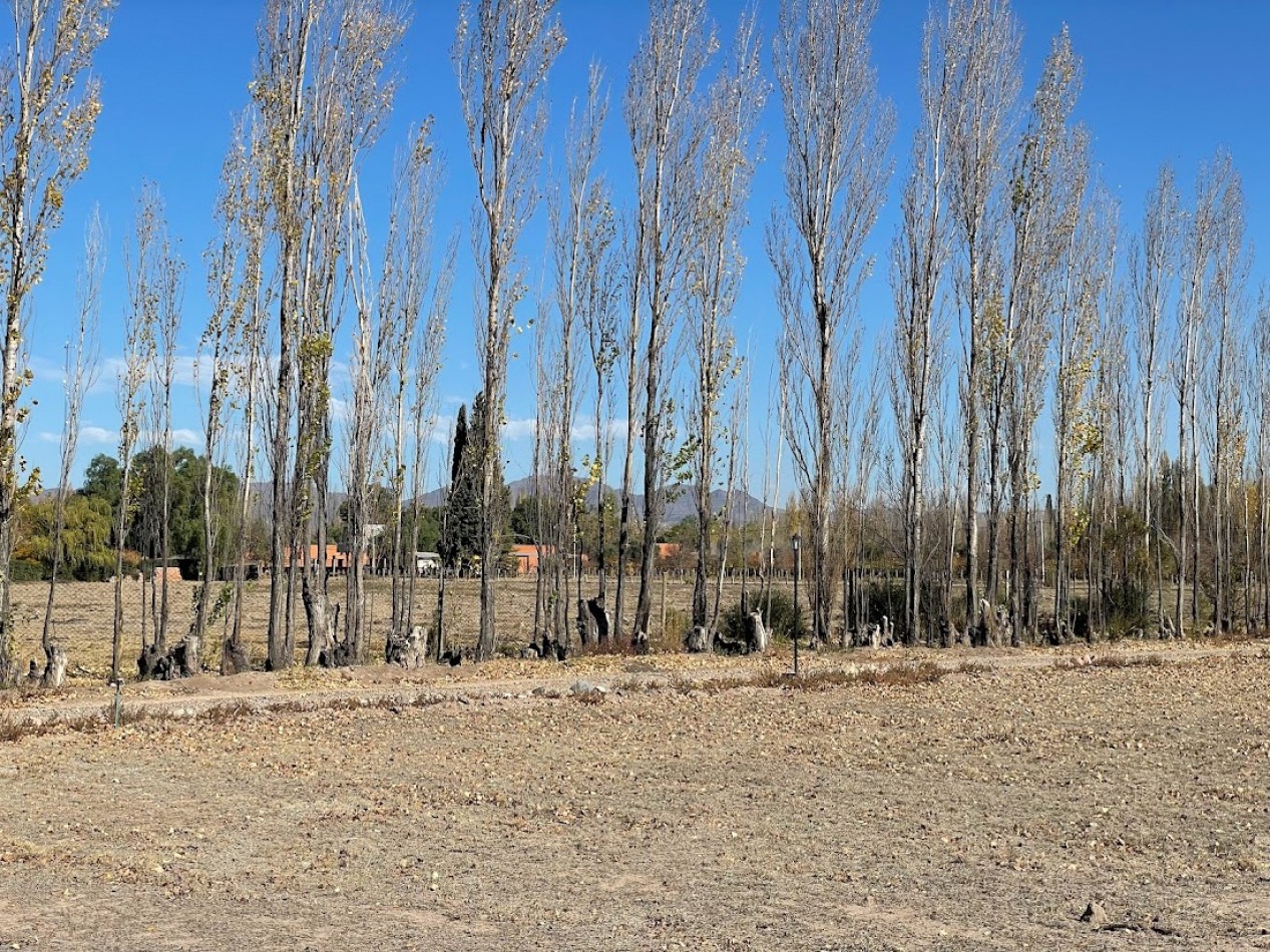 CASA DE CAMPO CON TERRENO DE 1,7 HECTAREAS