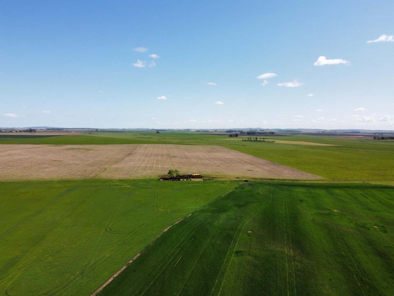 CAMPO LOBERIA  276 Ha 