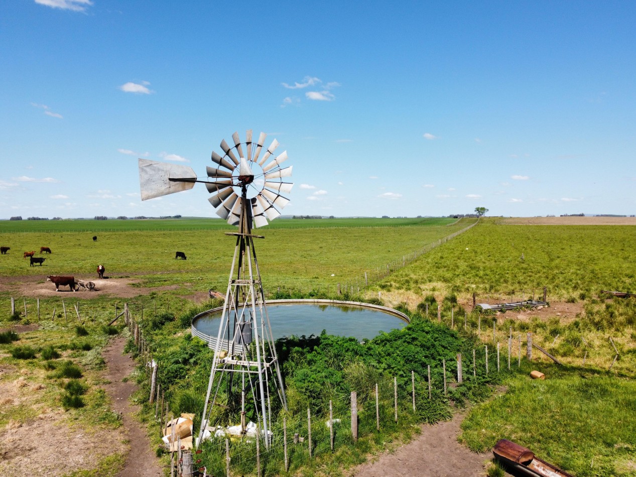 CAMPO LOBERIA  276 Ha 