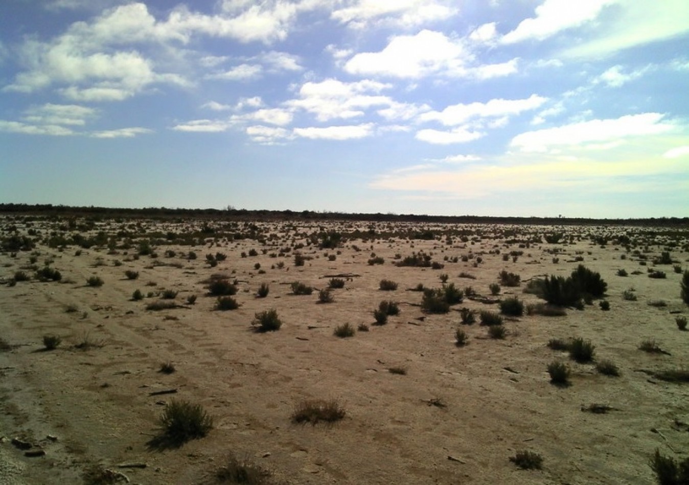 2500 hectareas en Limay Mahuida, La Pampa