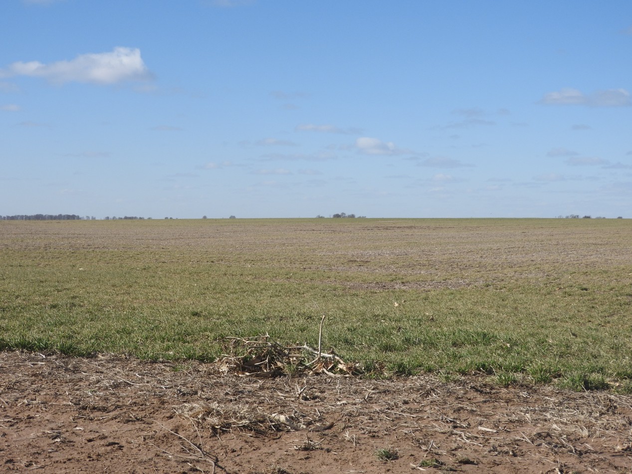 2578 hectareas en Pichihuinca, La Pampa