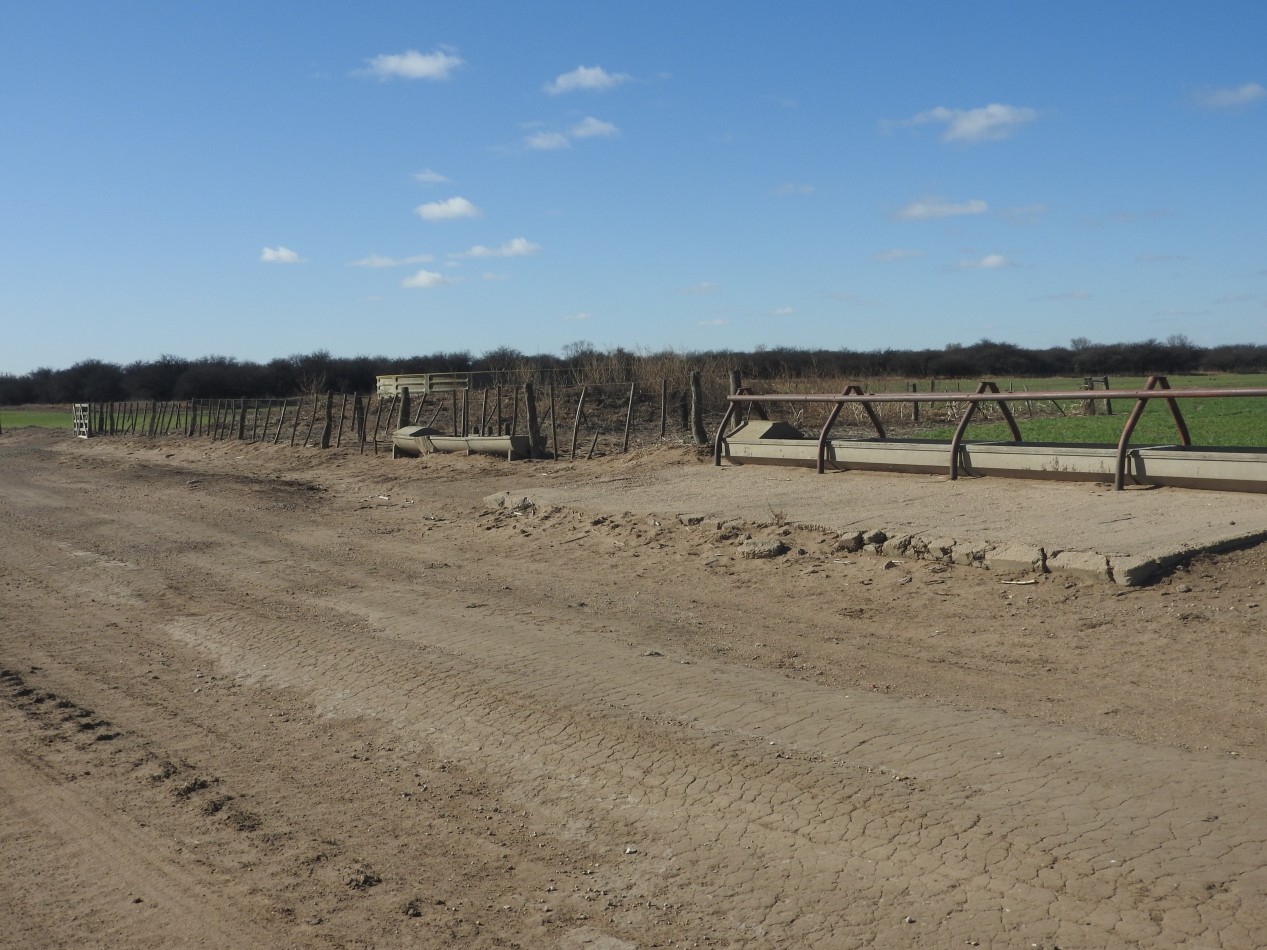 2578 hectareas en Pichihuinca, La Pampa