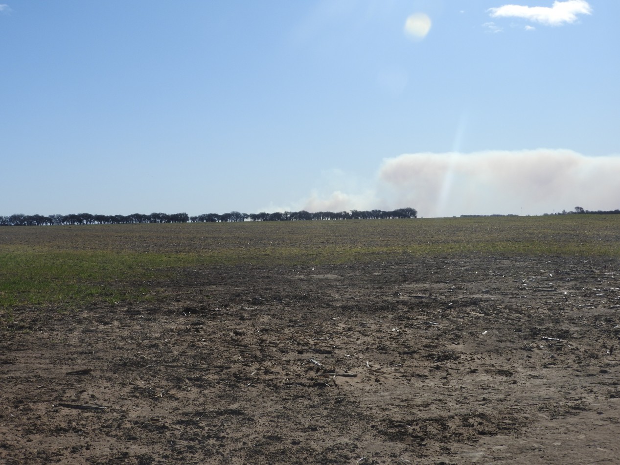 2578 hectareas en Pichihuinca, La Pampa