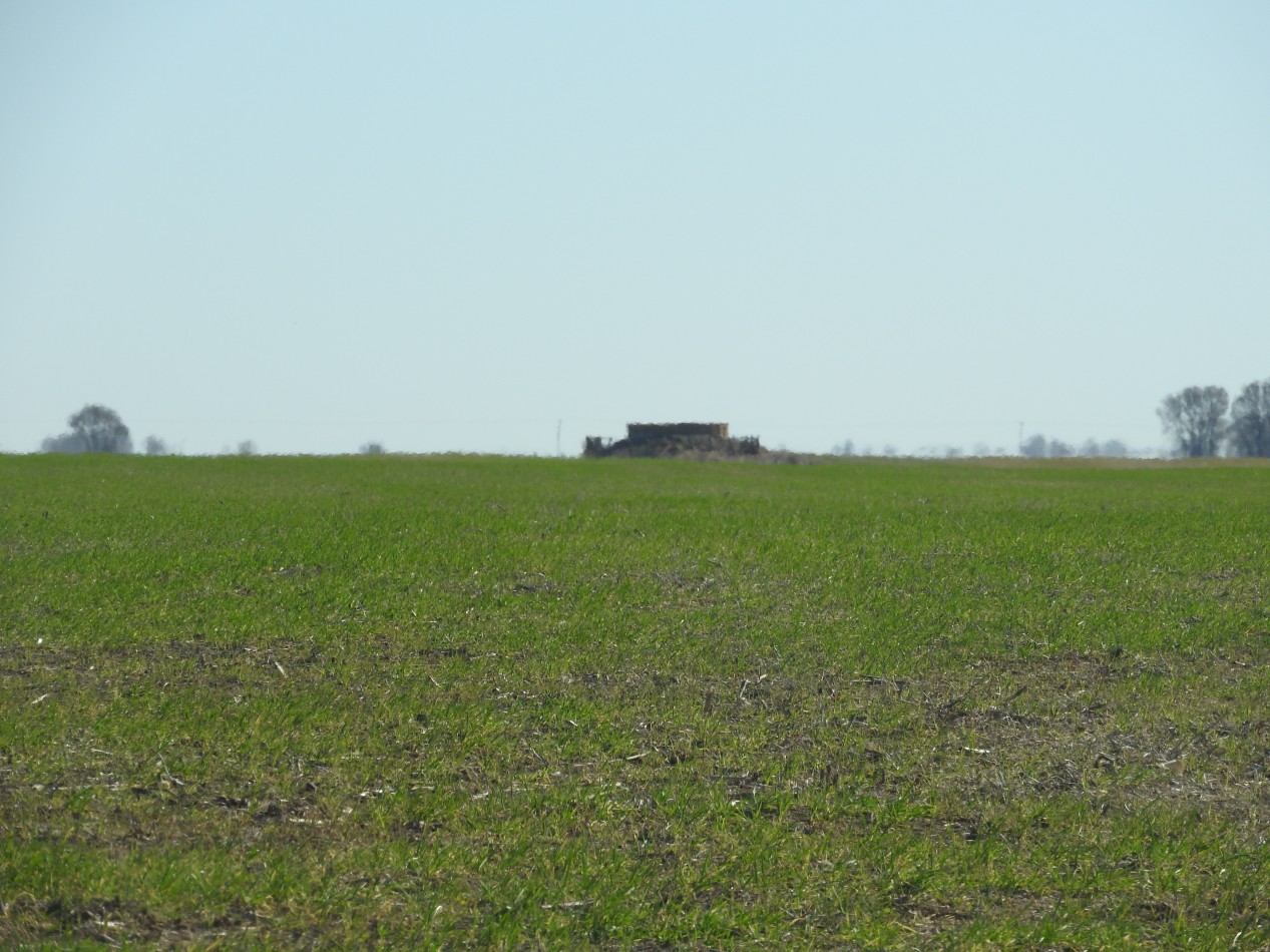 2578 hectareas en Pichihuinca, La Pampa