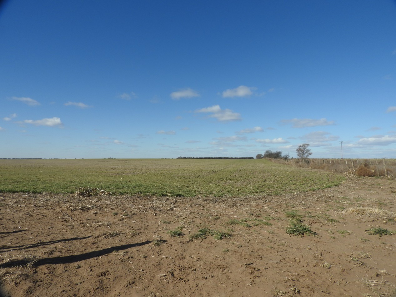 2578 hectareas en Pichihuinca, La Pampa