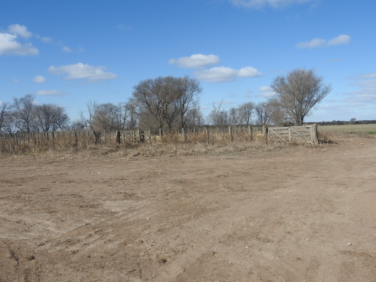 2578 hectareas en Pichihuinca, La Pampa