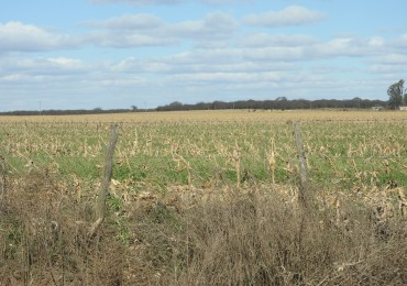 2578 hectareas en Pichihuinca, La Pampa