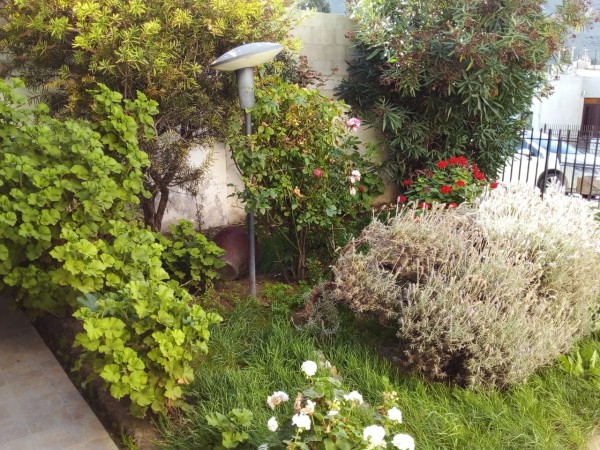 VIVIENDA DE DOS PLANTAS EN ZONA CENTRO