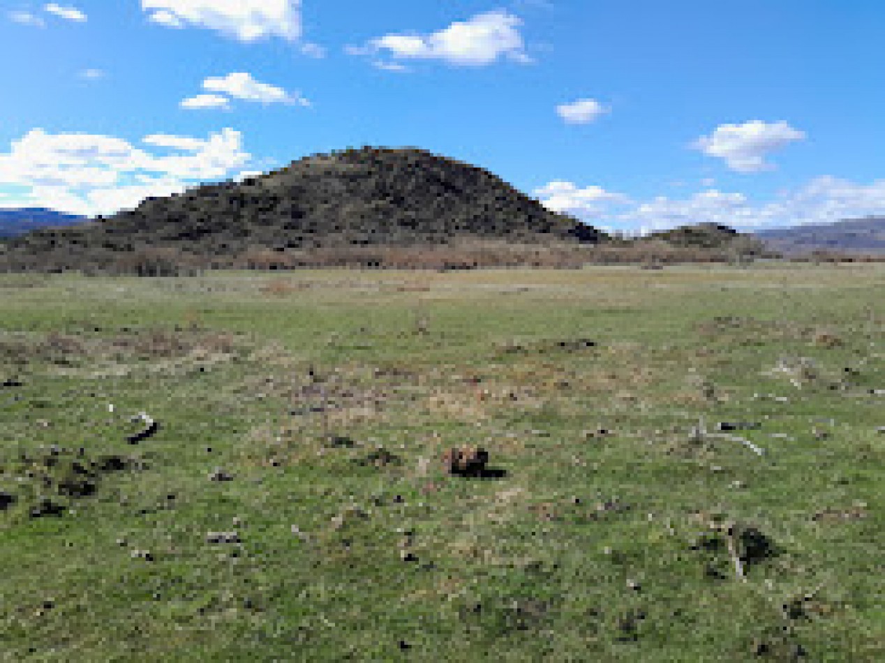 VENTA FINCA DE 4 HECTAREAS EN CHOLILA 