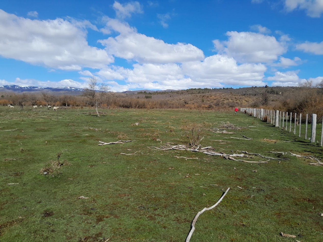 VENTA FINCA DE 4 HECTAREAS EN CHOLILA 