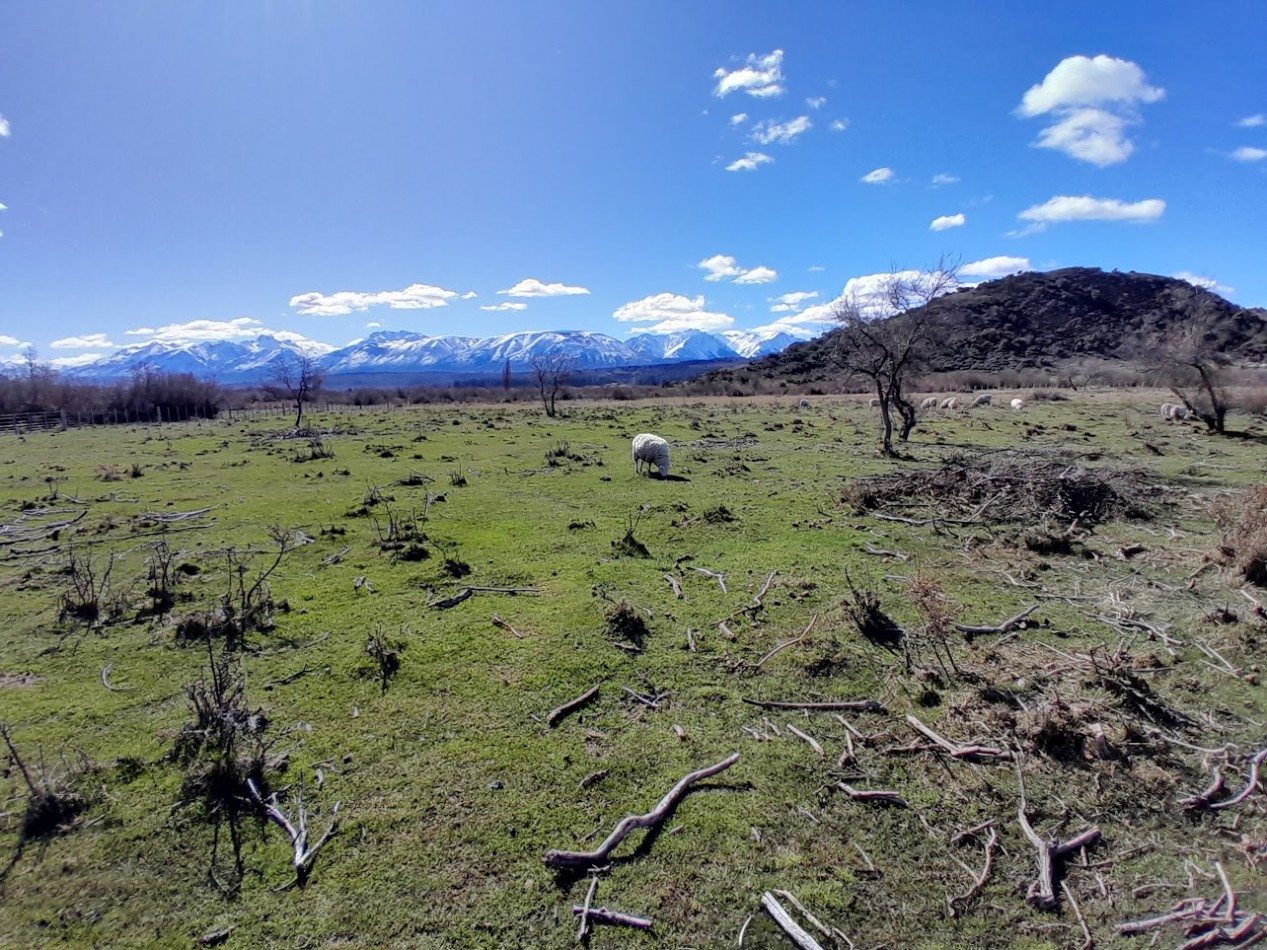 VENTA FINCA DE 4 HECTAREAS EN CHOLILA 