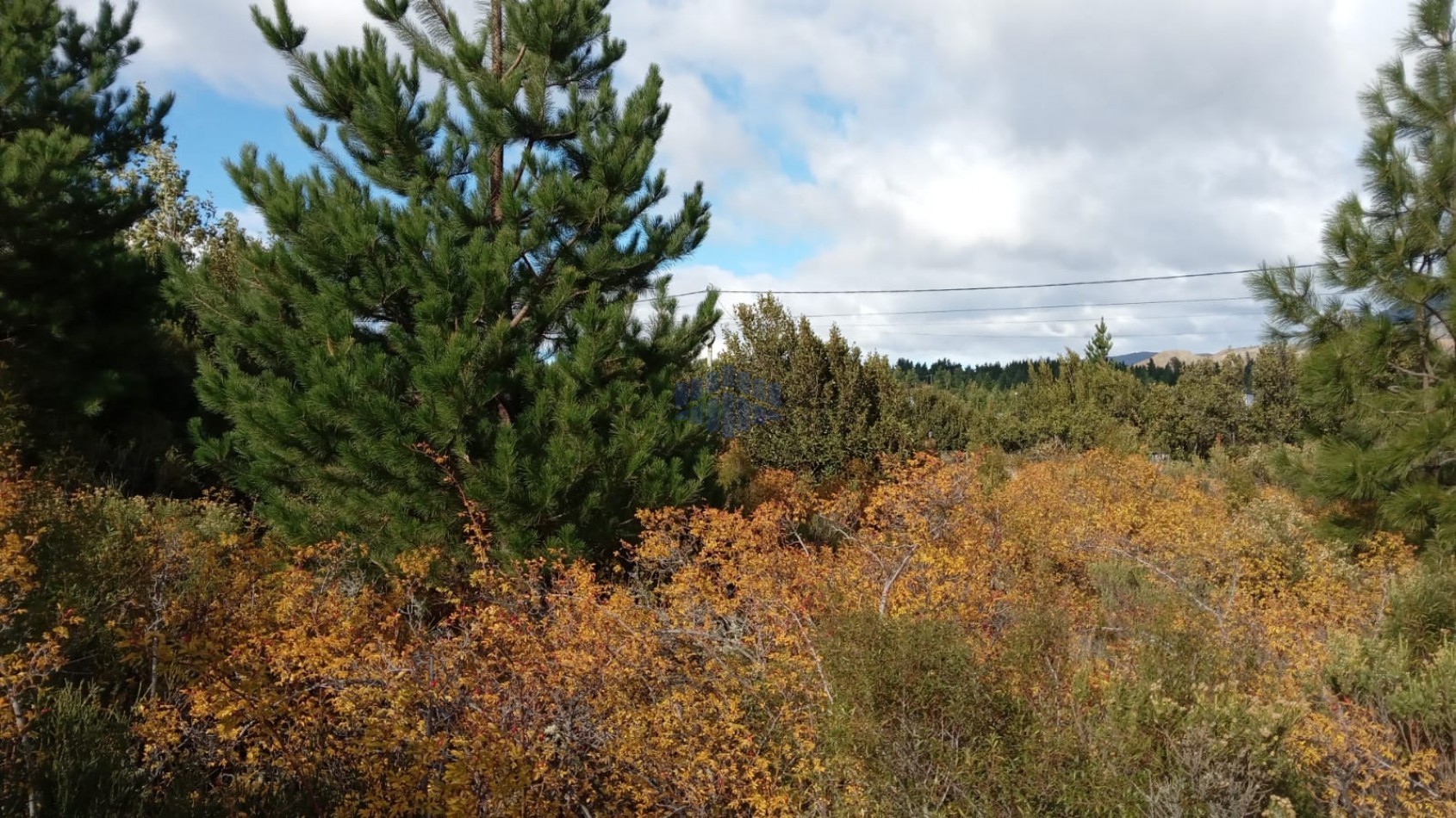 VENTA DE TERRENO EN EPUYEN - CHUBUT