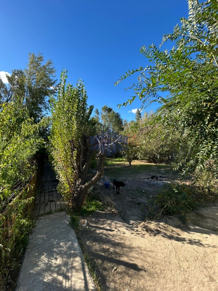ALQUILER DE VIVIENDA EN BELLA VISTA NORTE