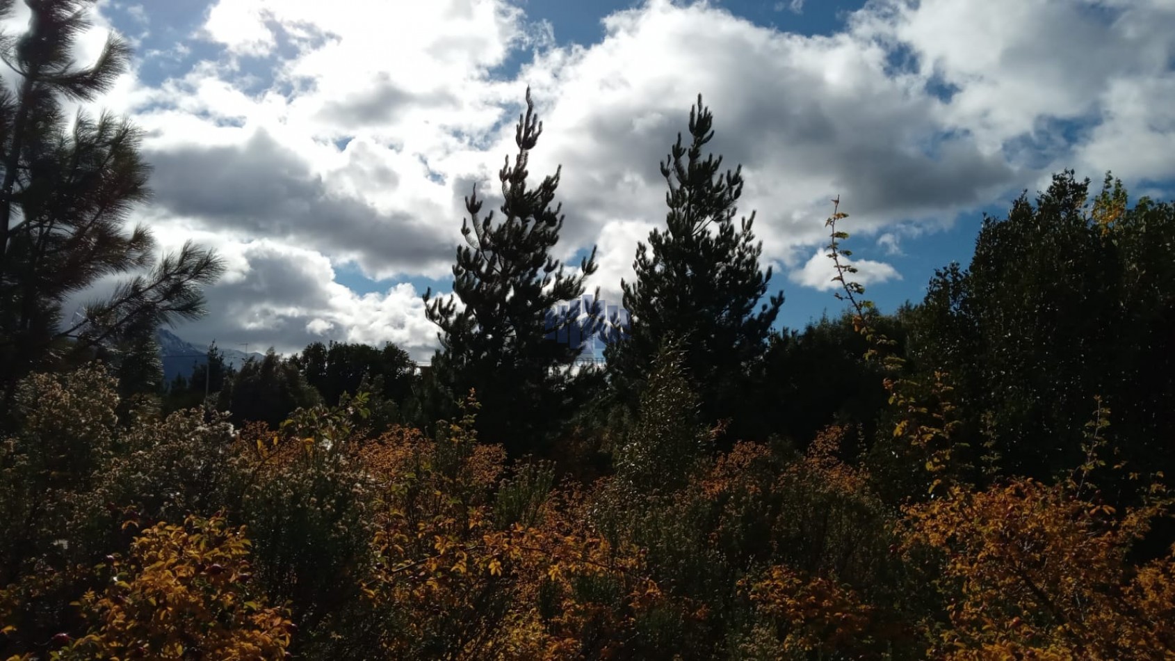 VENTA DE TERRENO EN EPUYEN - CHUBUT