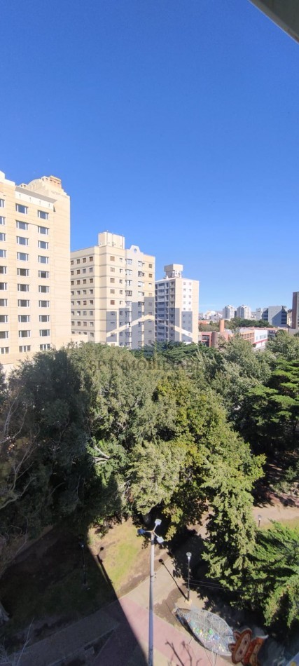 ALQUILER DEPARTAMENTO EN ZONA CENTRO