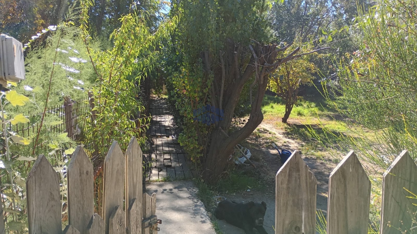 ALQUILER DE VIVIENDA EN BELLA VISTA NORTE