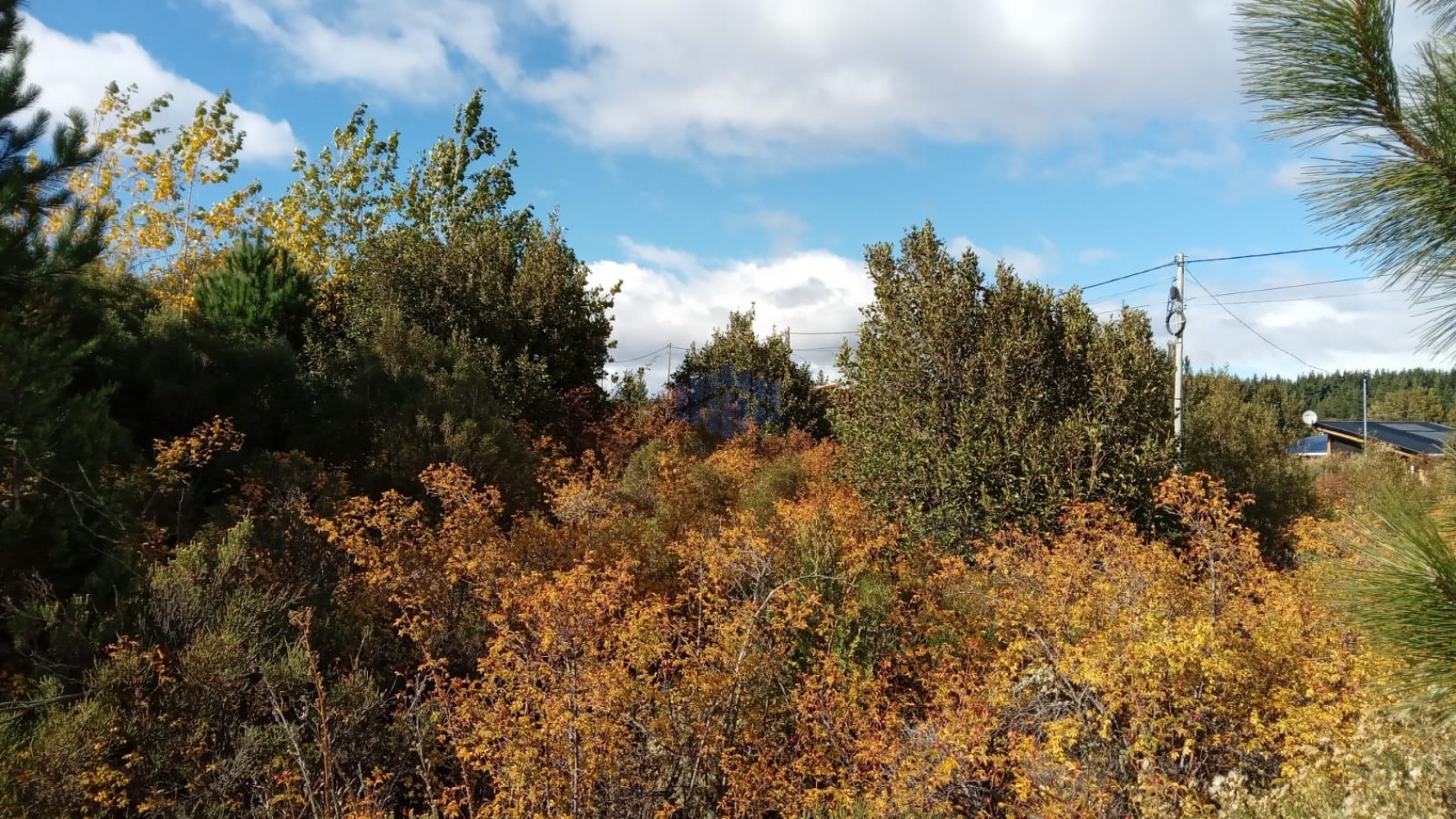 VENTA DE TERRENO EN EPUYEN - CHUBUT