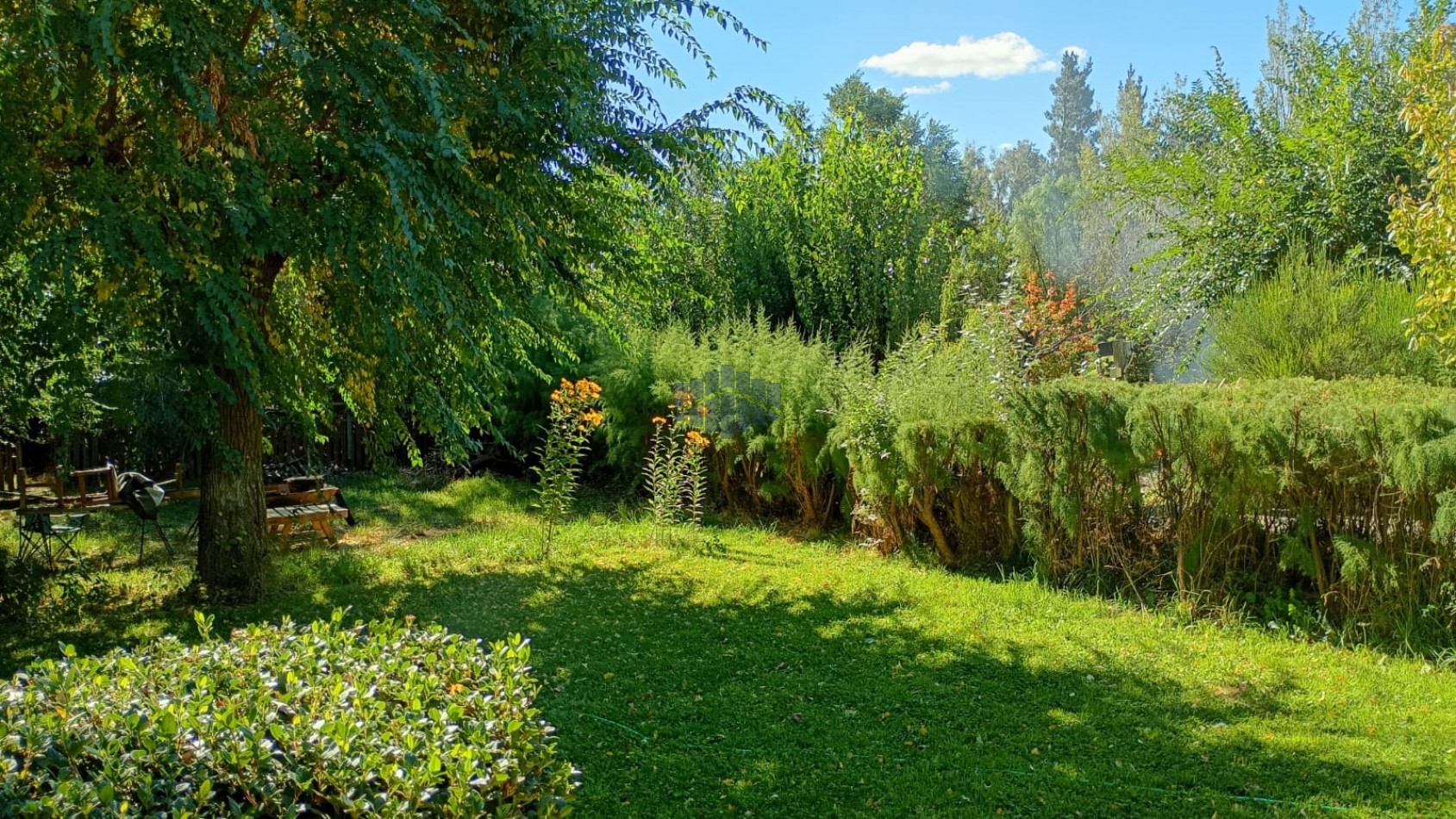 ALQUILER DE VIVIENDA EN BELLA VISTA NORTE