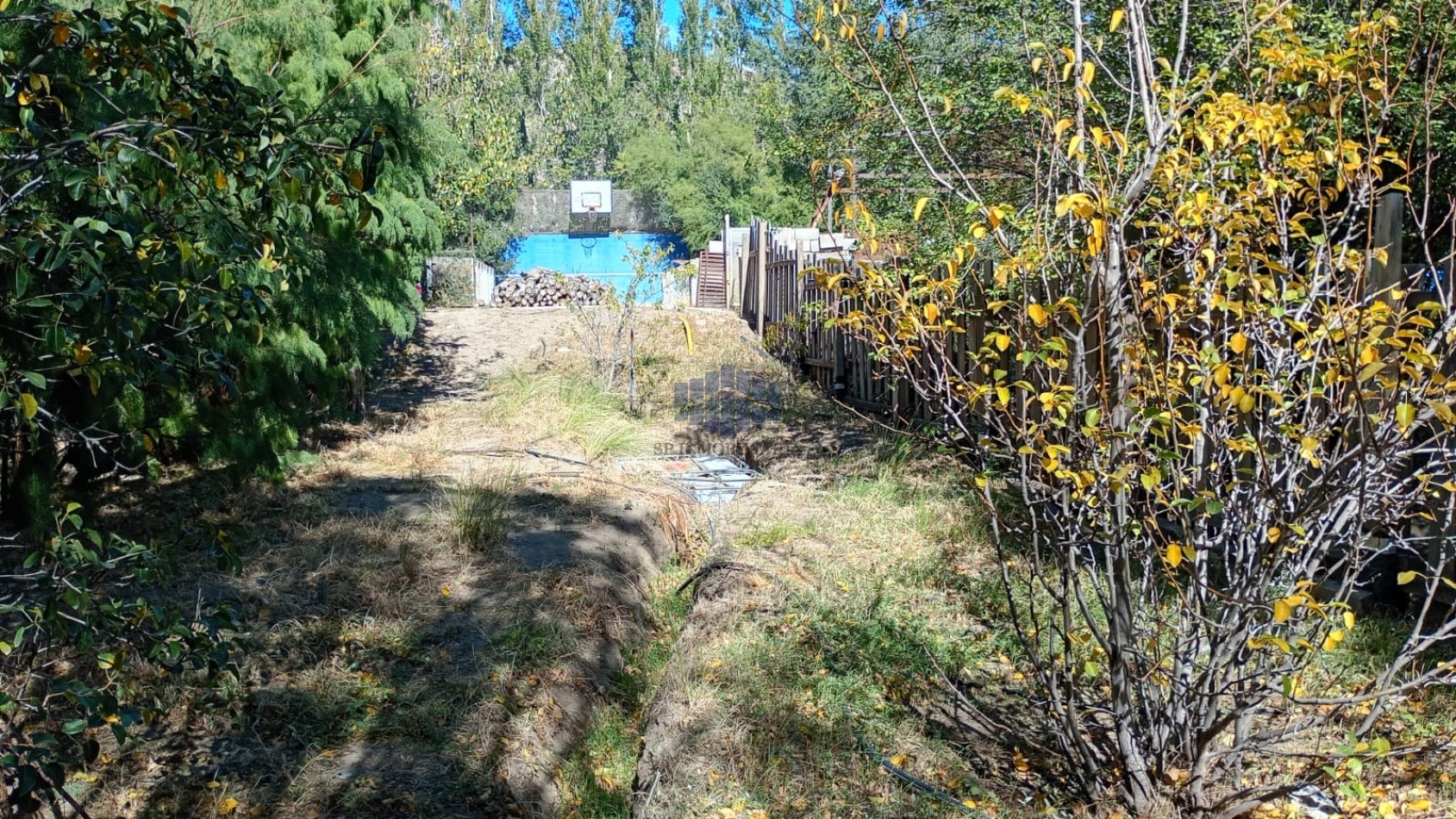 ALQUILER DE VIVIENDA EN BELLA VISTA NORTE