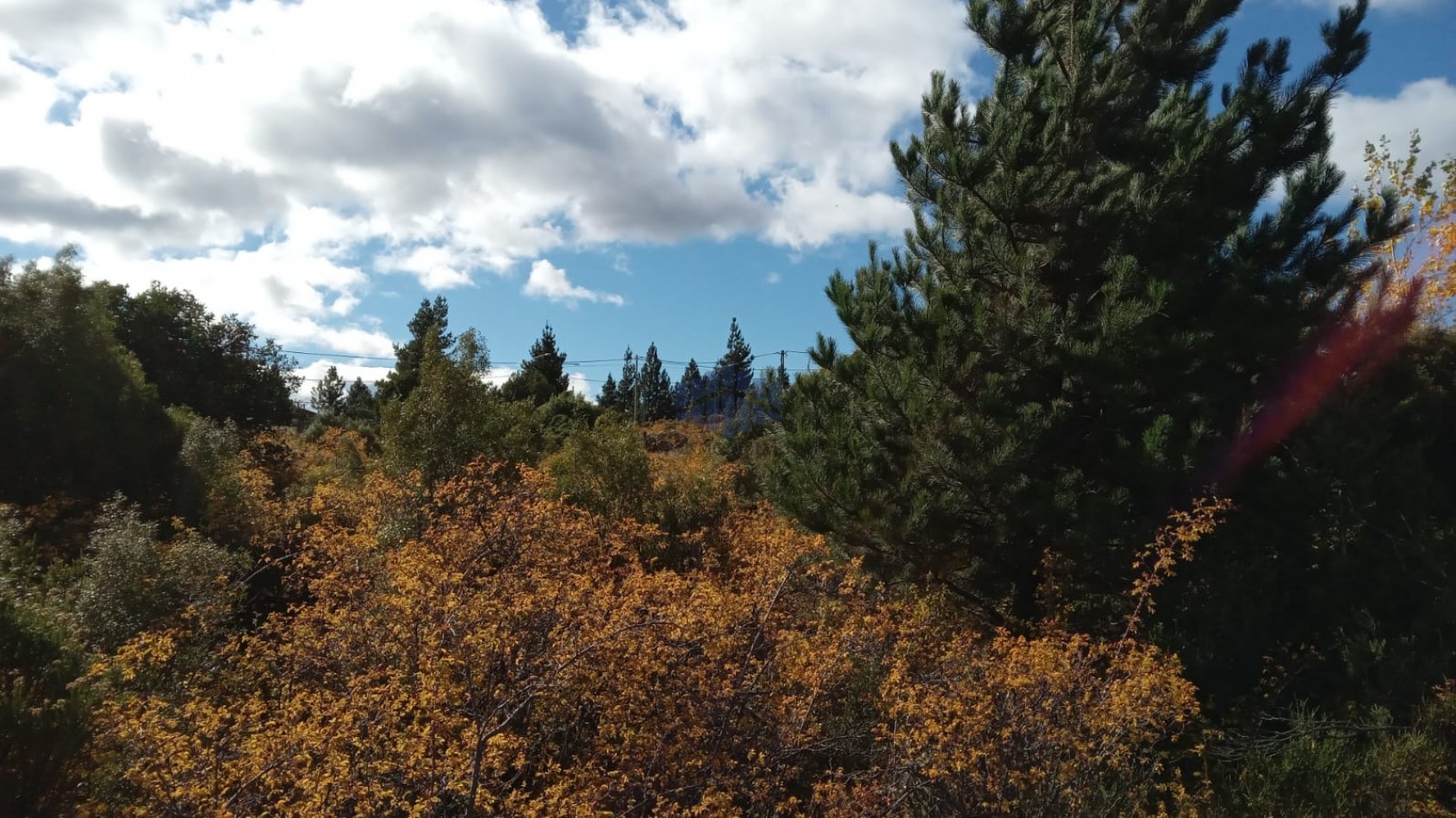 VENTA DE TERRENO EN EPUYEN - CHUBUT