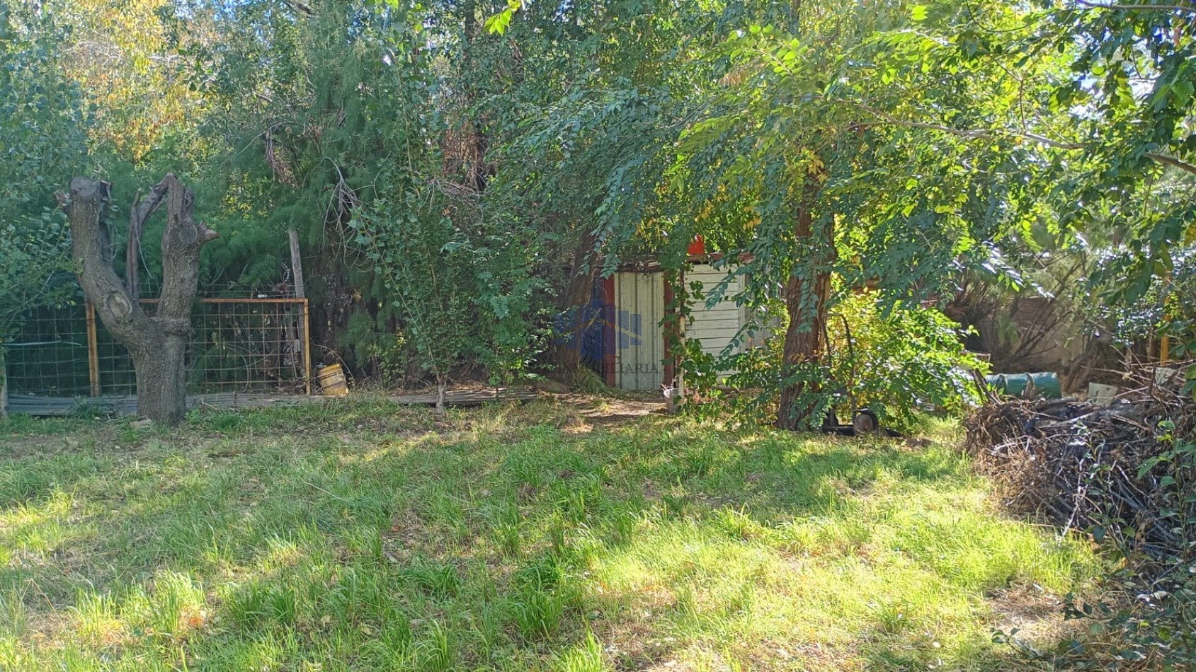 ALQUILER DE VIVIENDA EN BELLA VISTA NORTE