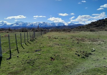 VENTA FINCA DE 4 HECTAREAS EN CHOLILA 