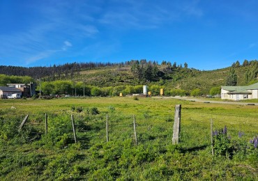 VENTA DE TERRENOS EN CHOLILA - CHUBUT