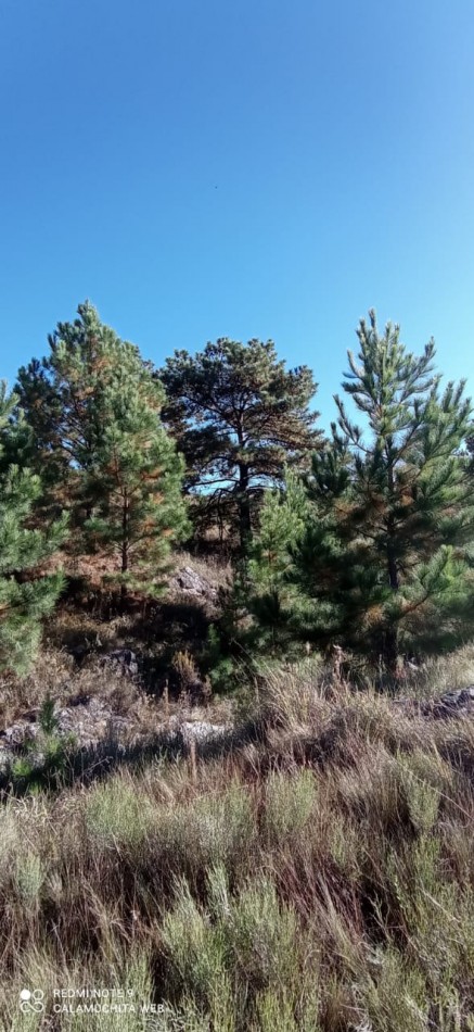 VENTA CAMPO 5 HECTAREAS CON ARROYO  APTO VIÑEDO CON CASA  2 AMBIENTES  EL DURAZNO CALAMUCHITA