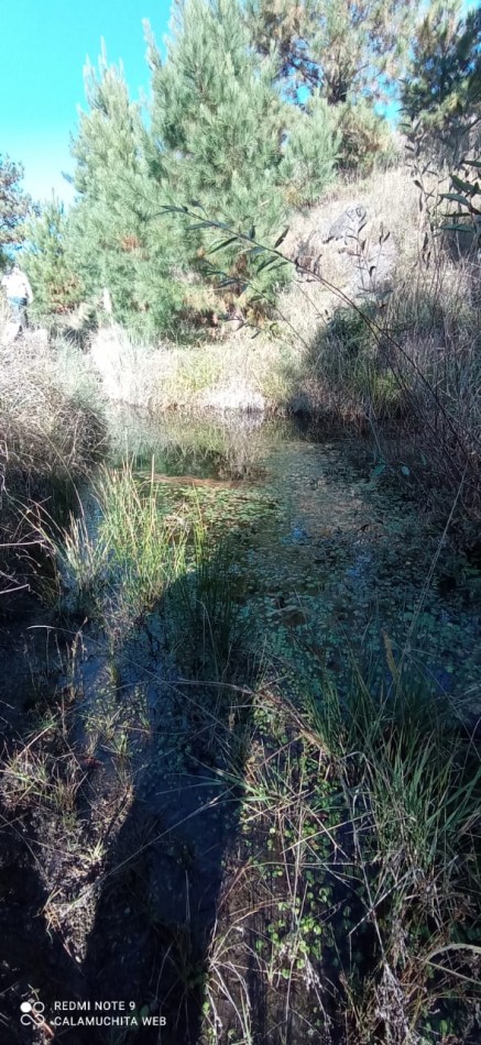 VENTA CAMPO 5 HECTAREAS CON ARROYO  APTO VIÑEDO CON CASA  2 AMBIENTES  EL DURAZNO CALAMUCHITA